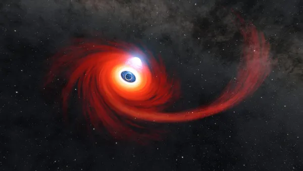 Illustrazione NASA di un buco nero che distrugge una stella
