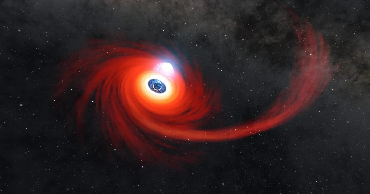 Illustrazione NASA di un buco nero che distrugge una stella